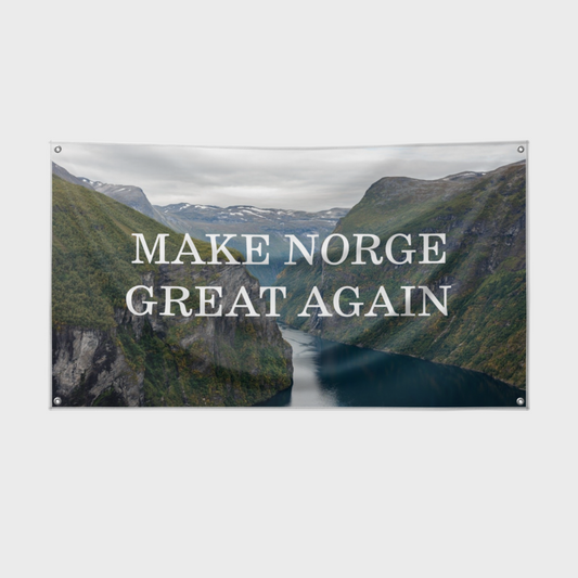 Make Norge Great Again - Vibely